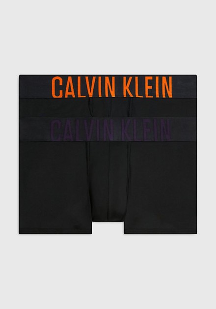 Boxer Calvin Klein 2 pack microfibra est