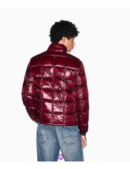 Chaqueta plumón Armani Exchange granate - vista trasera en modelo